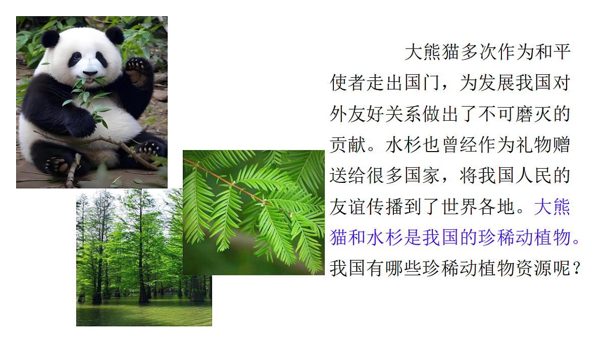 初中  生物  冀少版（2024）  七年级上册2.4生物资源及其保护 课件第4页