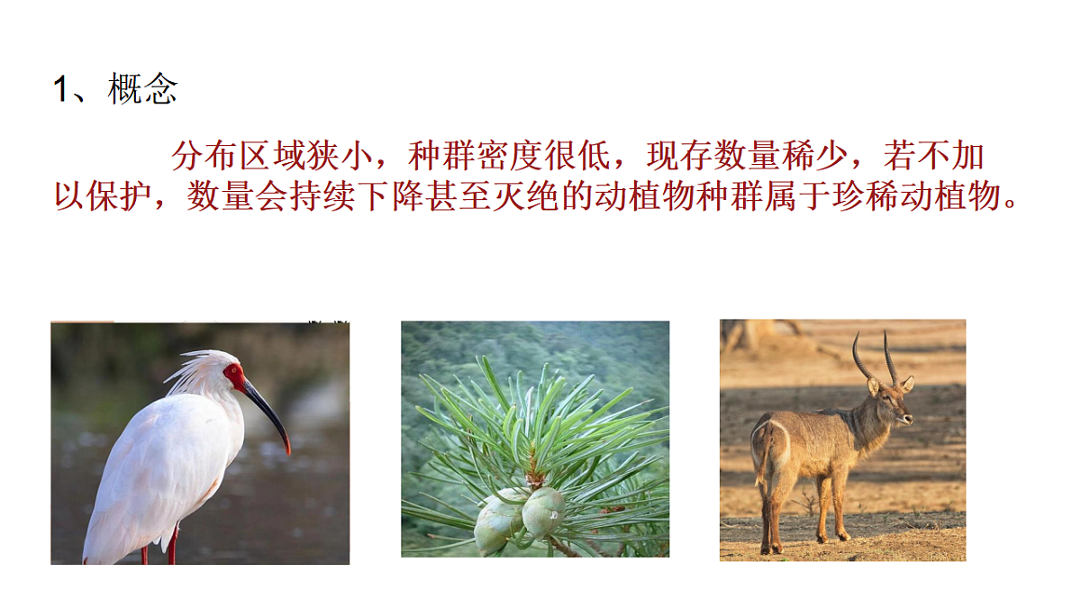 初中  生物  冀少版（2024）  七年级上册2.4生物资源及其保护 课件第5页