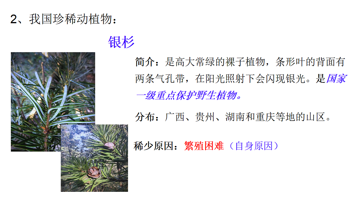 初中  生物  冀少版（2024）  七年级上册2.4生物资源及其保护 课件第6页