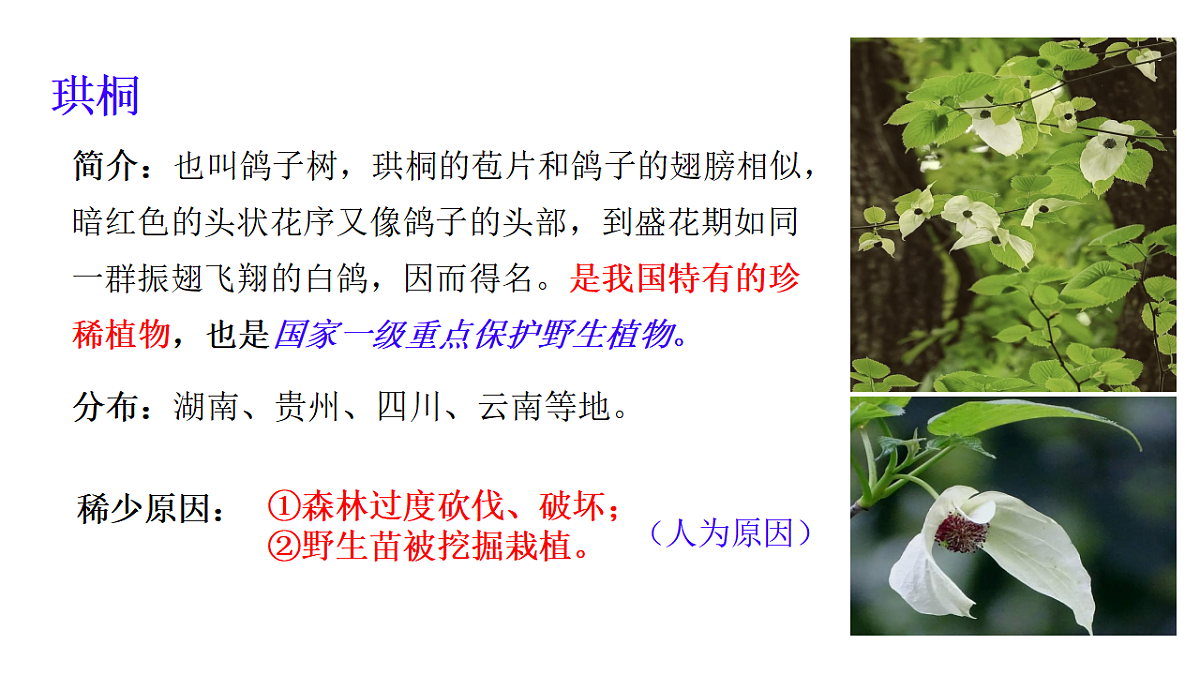 初中  生物  冀少版（2024）  七年级上册2.4生物资源及其保护 课件第7页