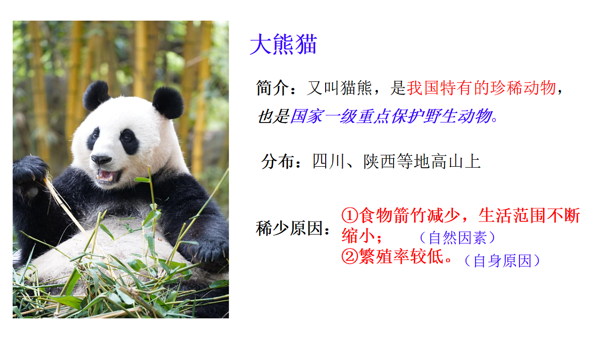 初中  生物  冀少版（2024）  七年级上册2.4生物资源及其保护 课件第8页