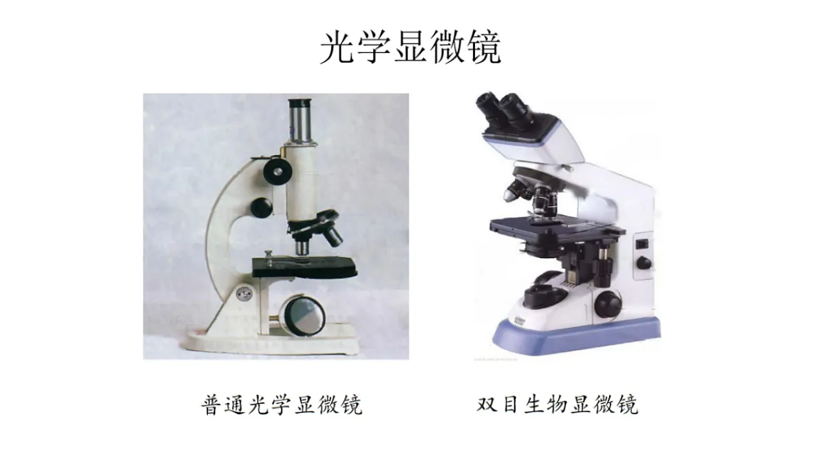 17839593第2页