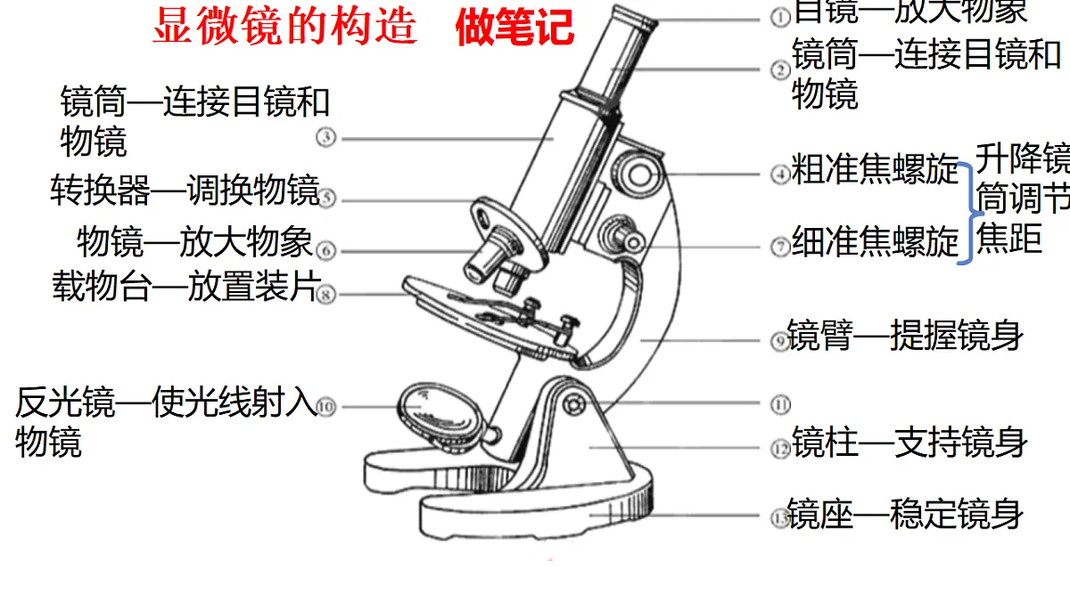 17839593第4页