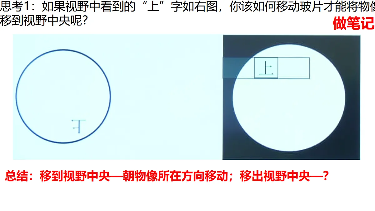 17839593第7页
