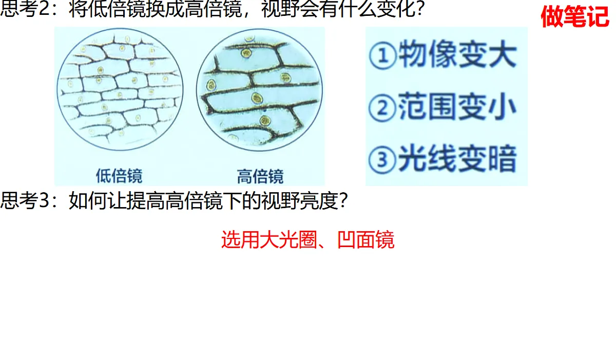 17839593第8页