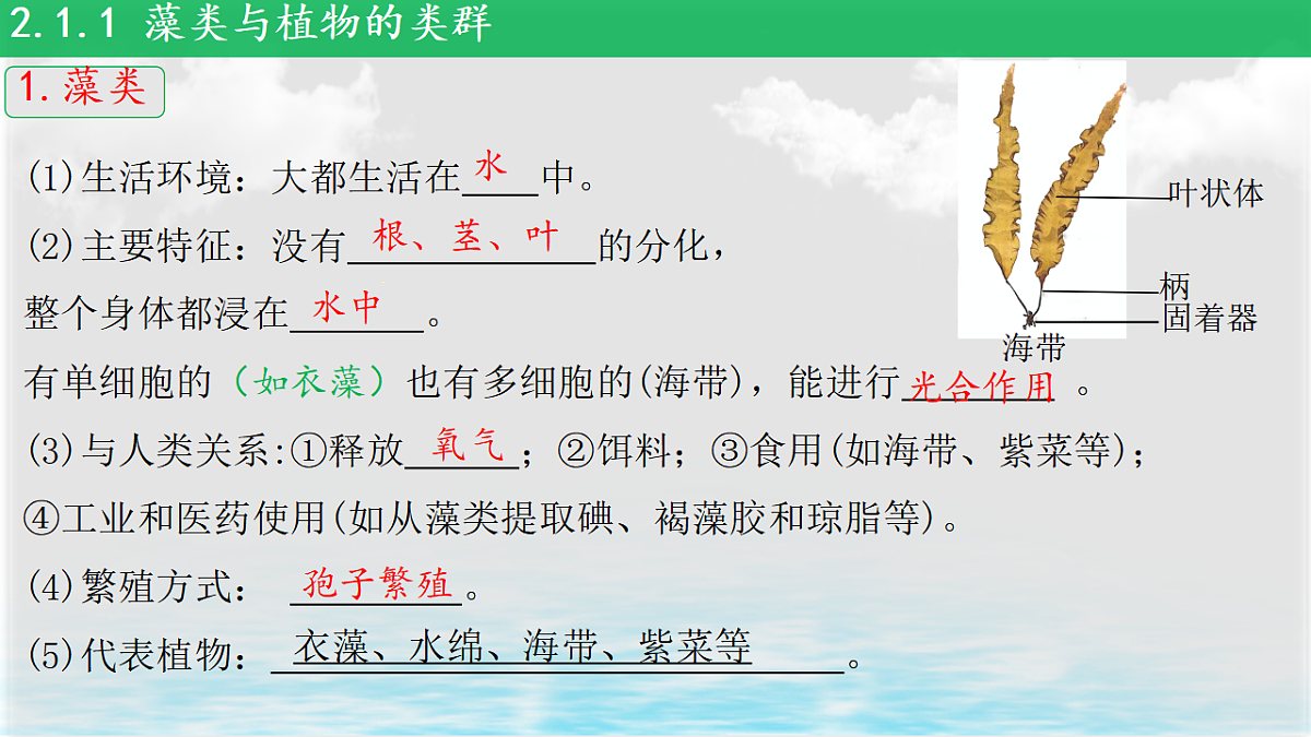 17839598第2页