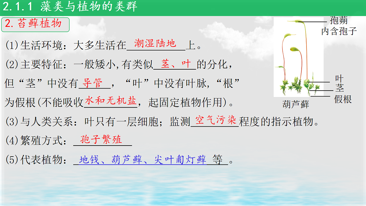 17839598第3页