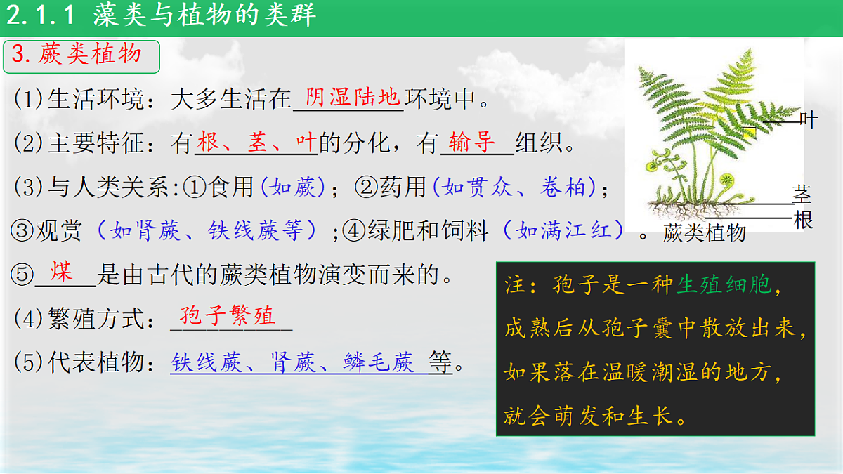 17839598第4页