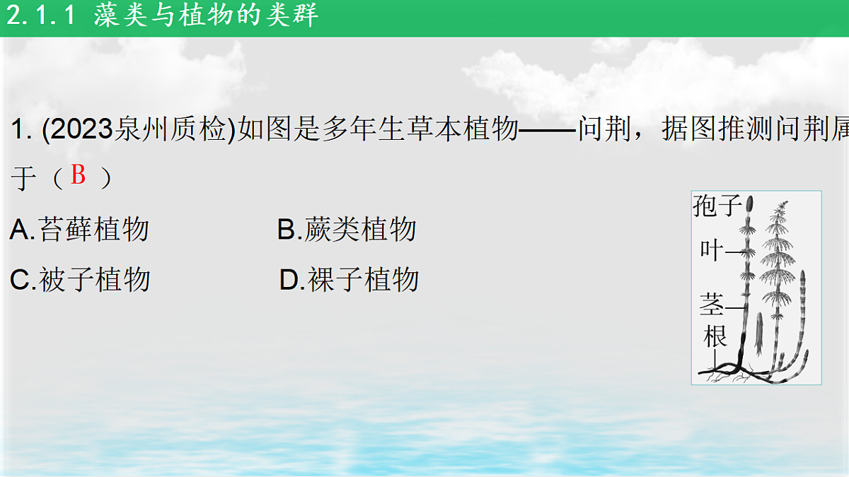 17839598第5页