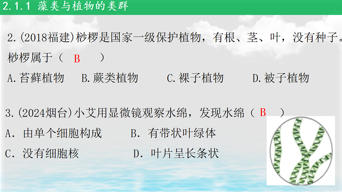 17839598第6页