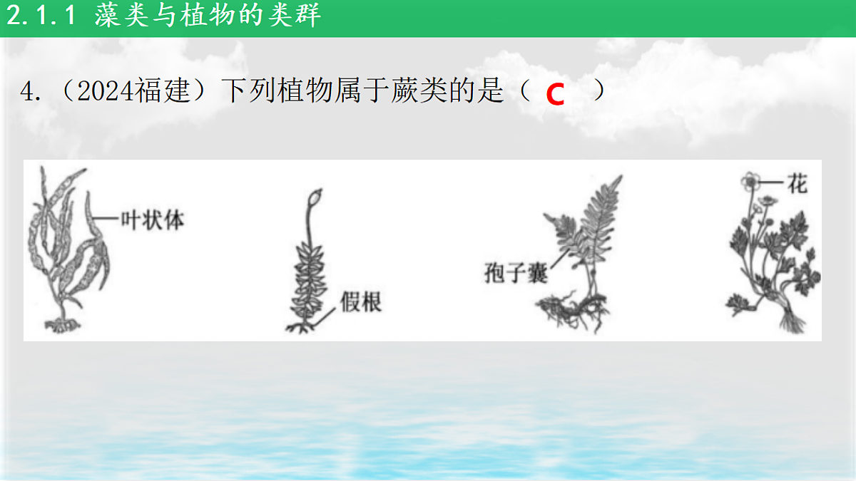 17839598第7页