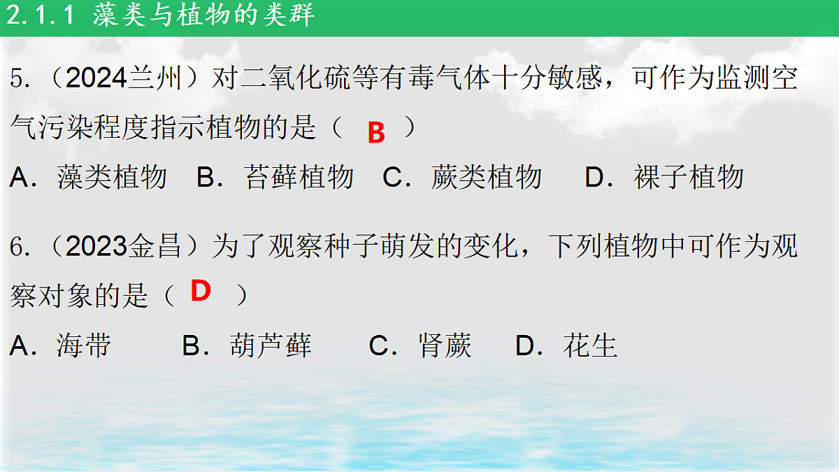 17839598第8页