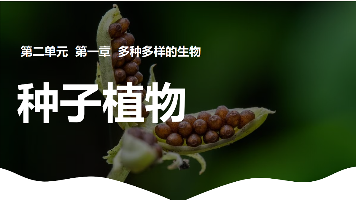 17839620第1页