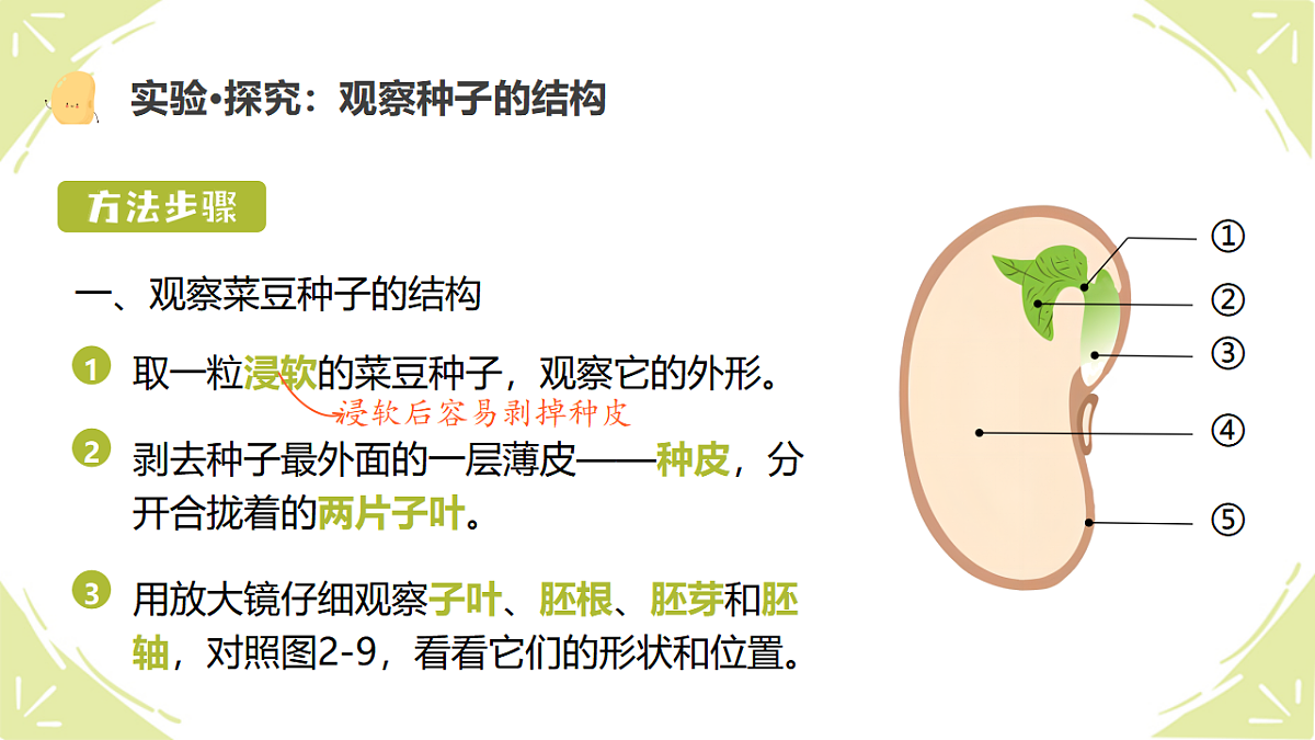 17839620第3页