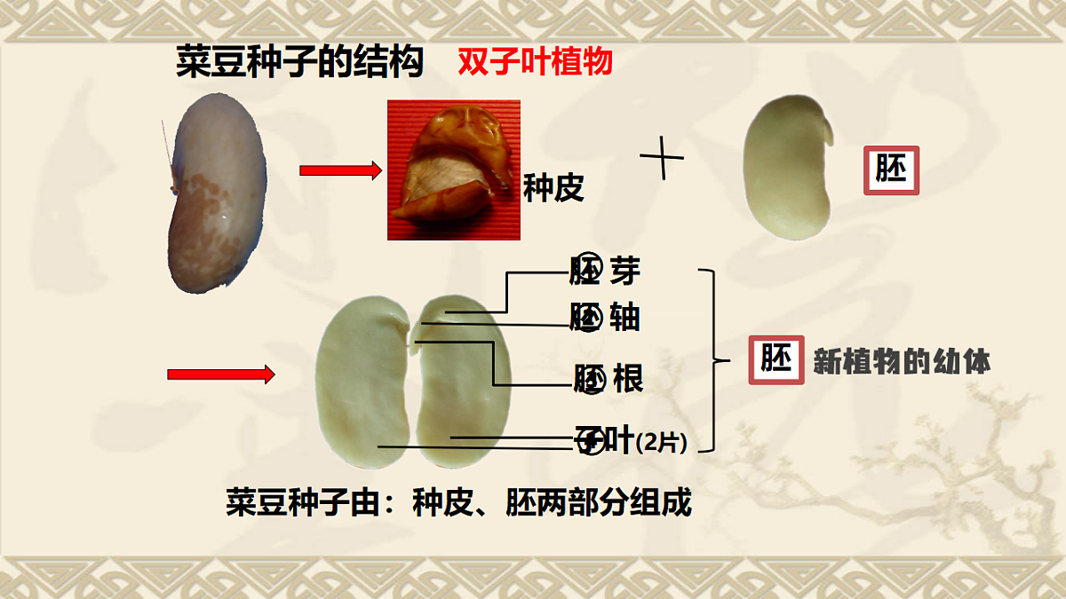 17839620第5页