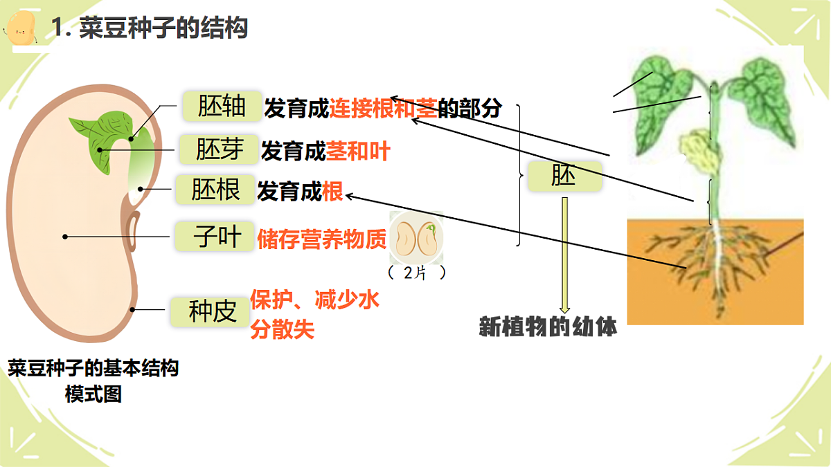 17839620第6页