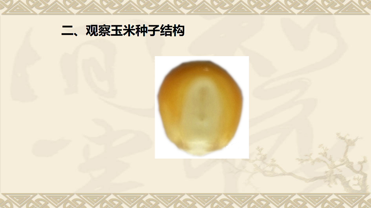 17839620第7页