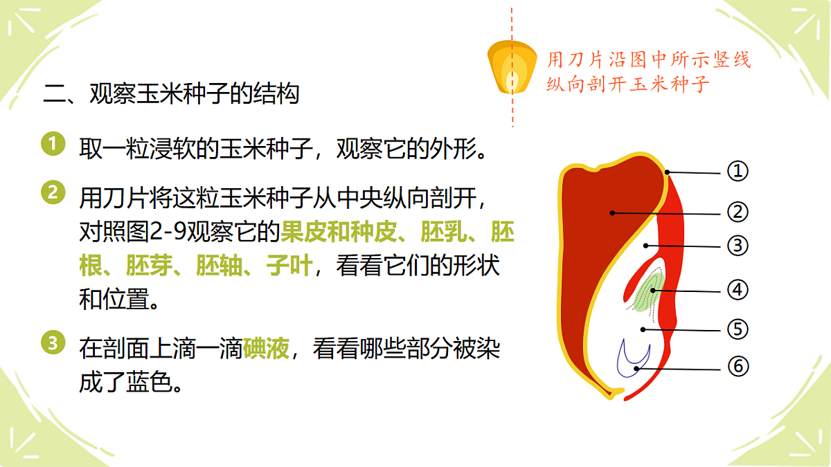 17839620第8页