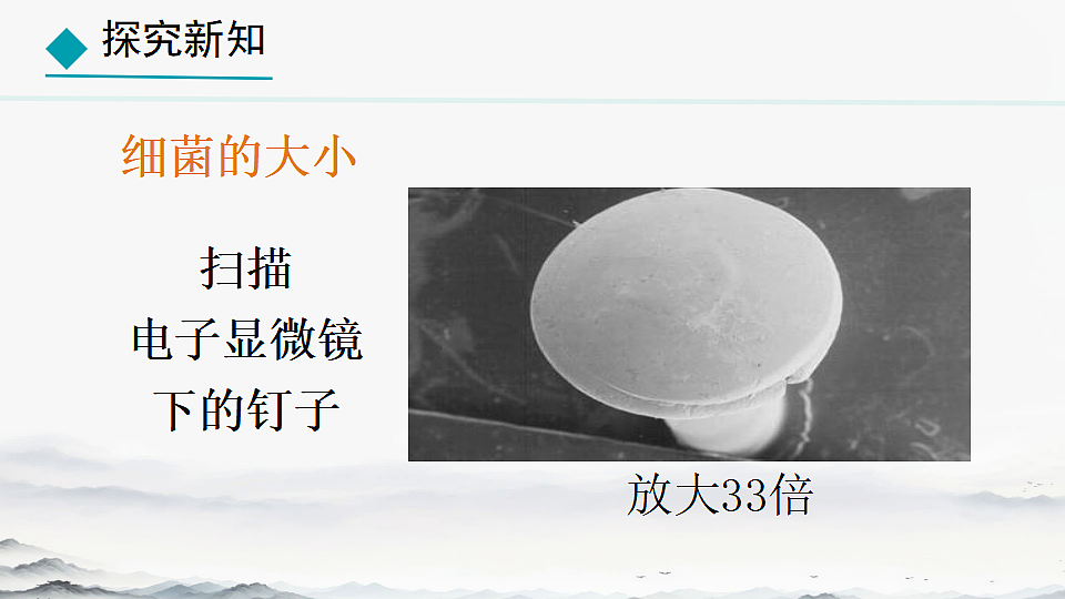 初中 生物 人教版（2024） 七年级上册2.3.2 细菌 课件第3页