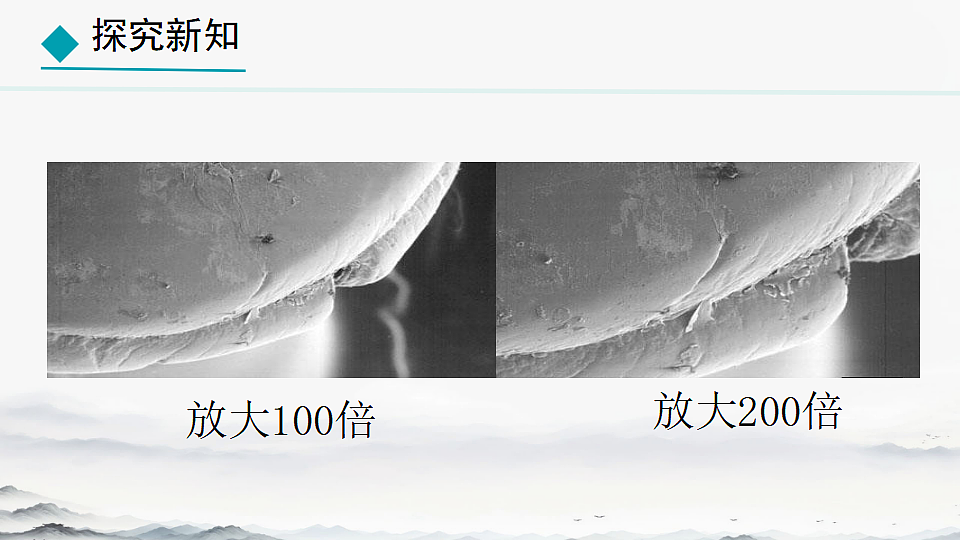 初中 生物 人教版（2024） 七年级上册2.3.2 细菌 课件第4页