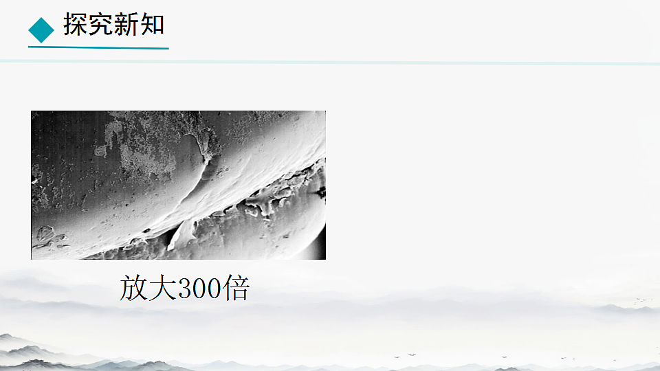 初中 生物 人教版（2024） 七年级上册2.3.2 细菌 课件第5页