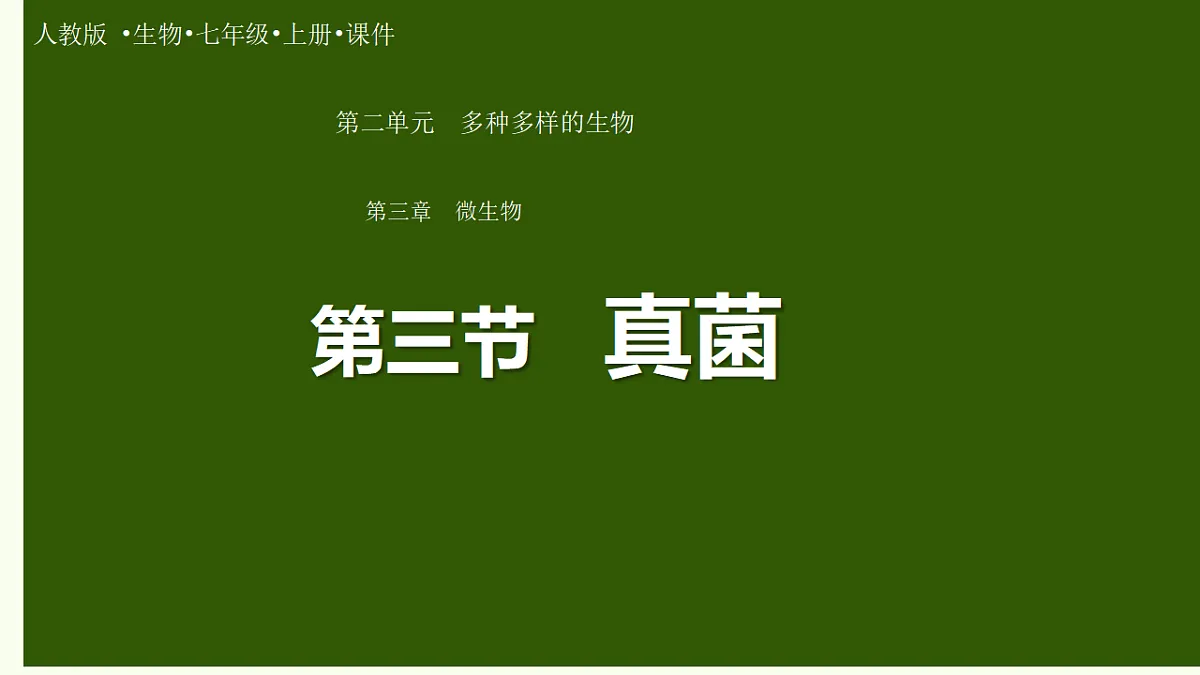 17839749第1页
