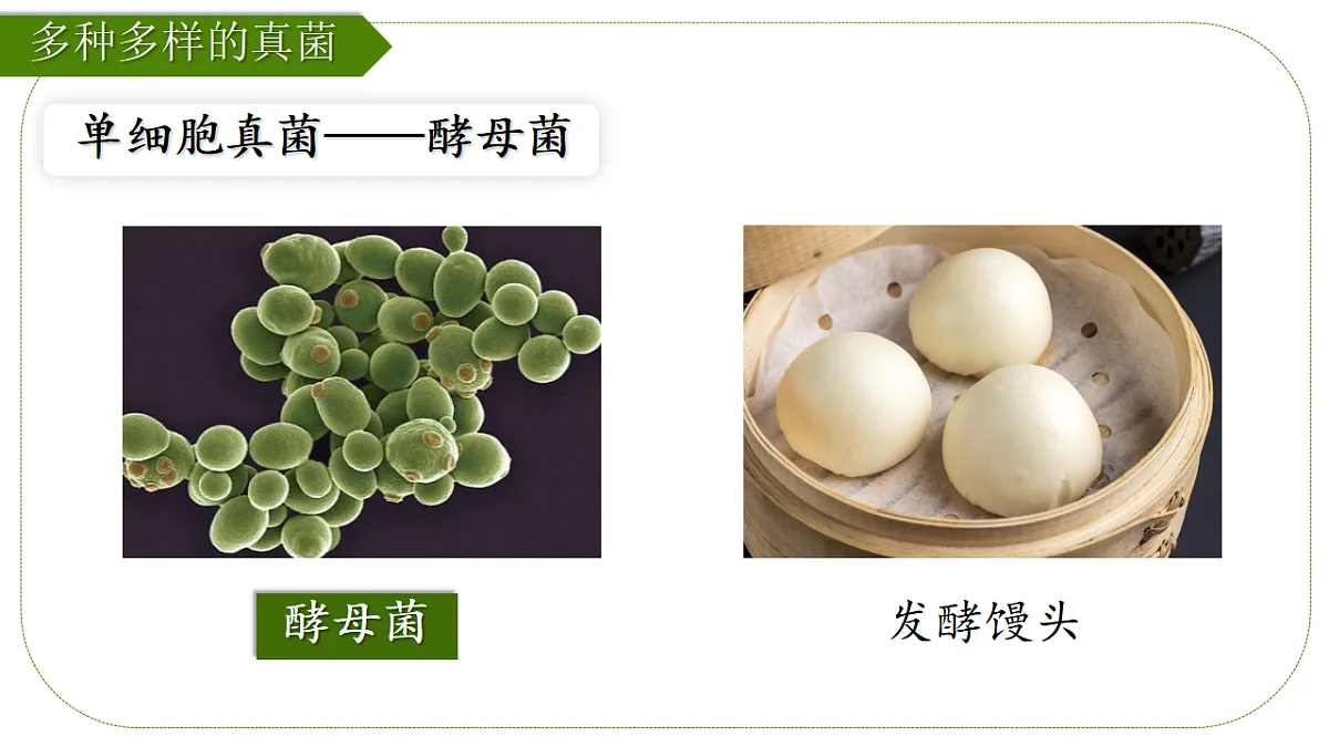 17839749第2页