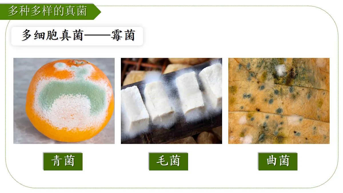17839749第3页