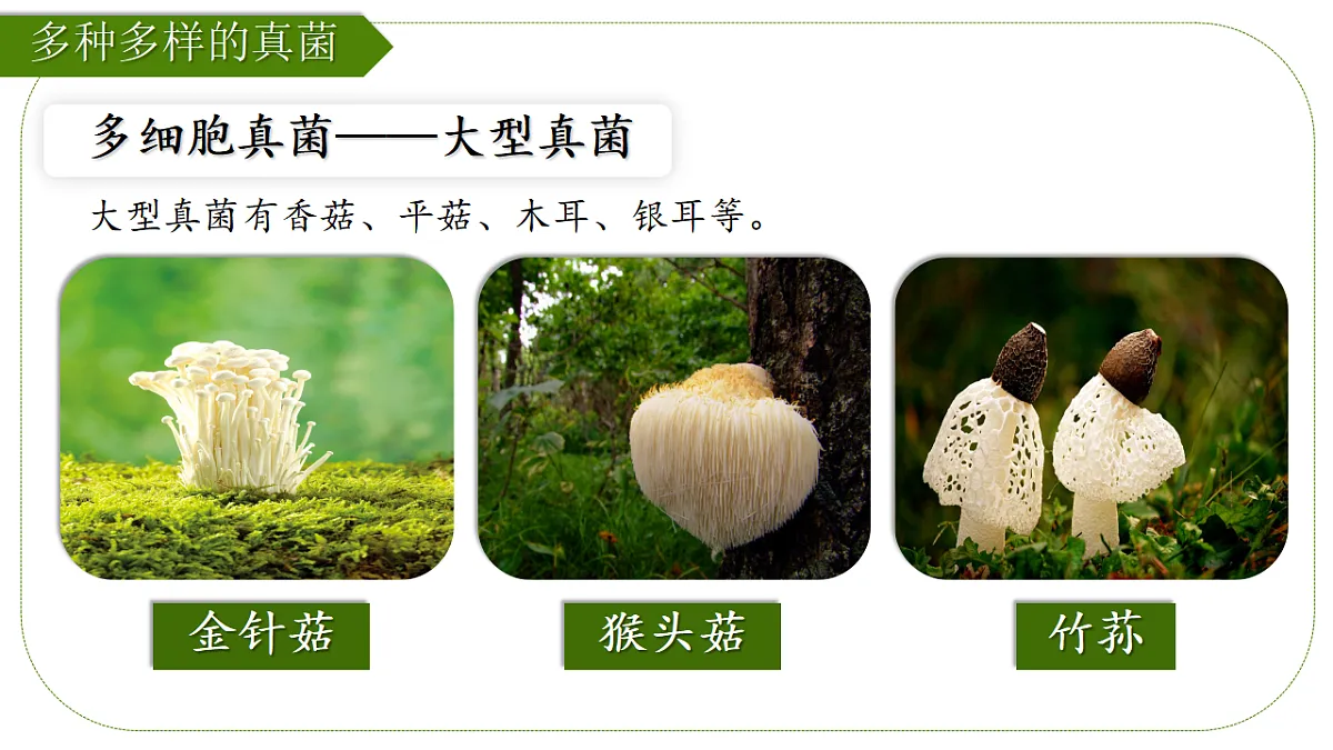 17839749第4页