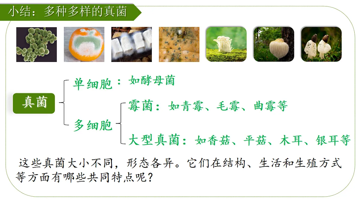 17839749第5页