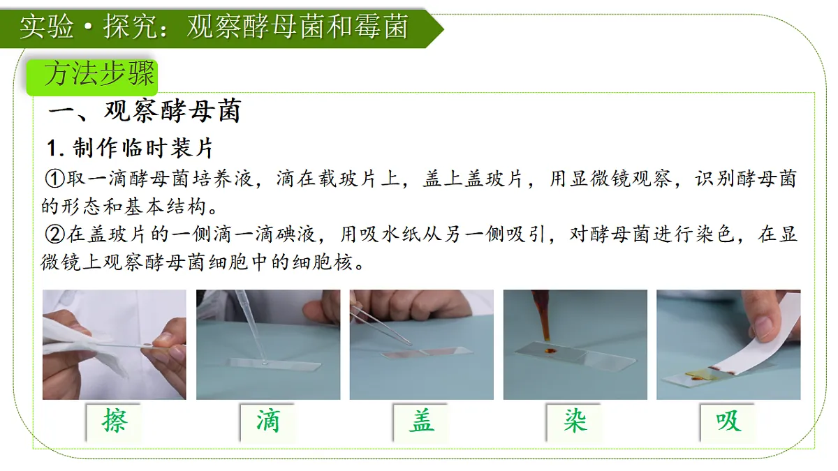 17839749第7页
