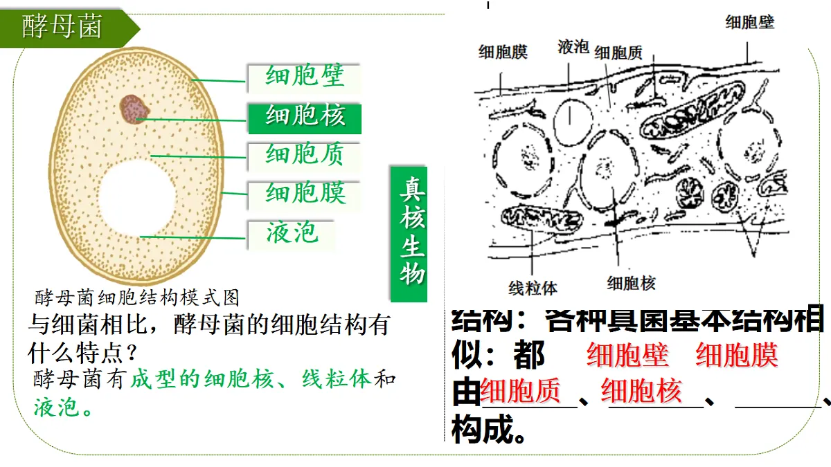 17839749第8页