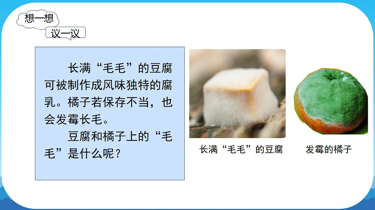 17839750第2页