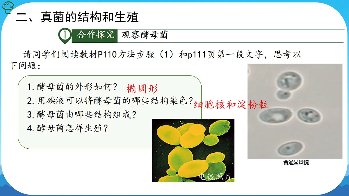 17839750第6页