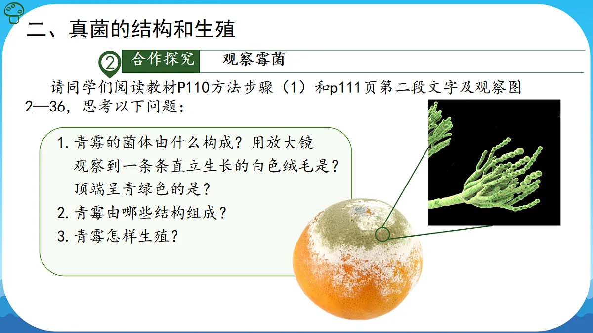 17839750第8页