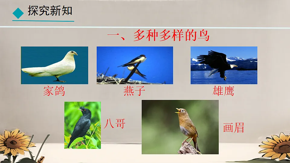 17839756第3页