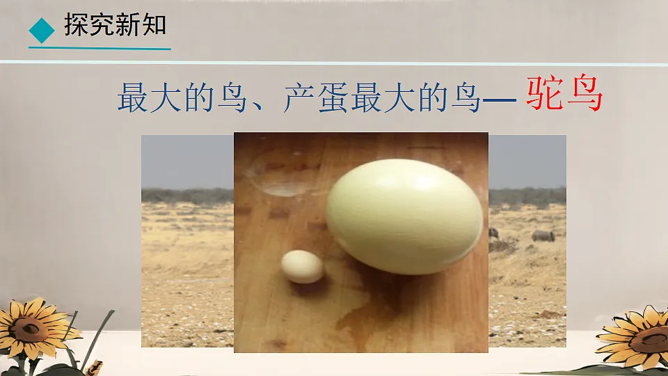 17839756第5页
