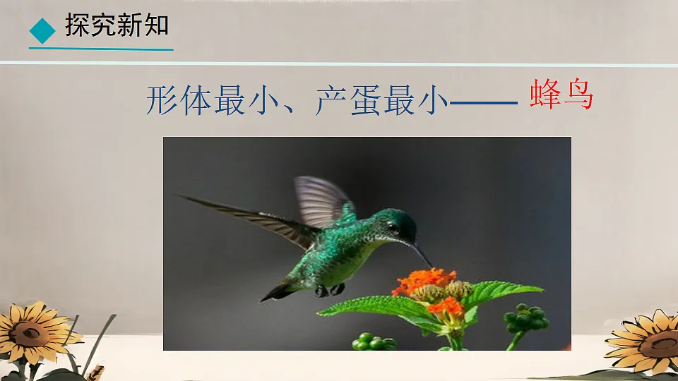 17839756第6页