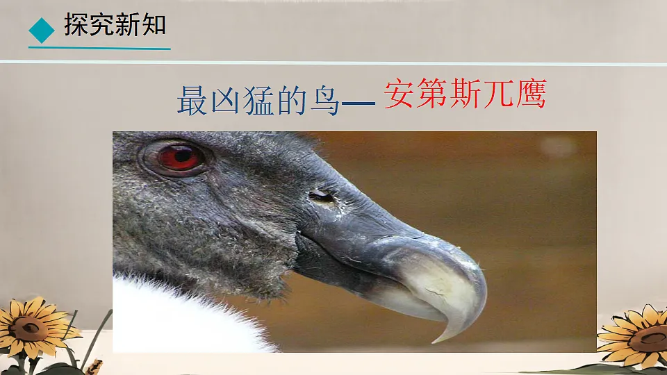 17839756第7页