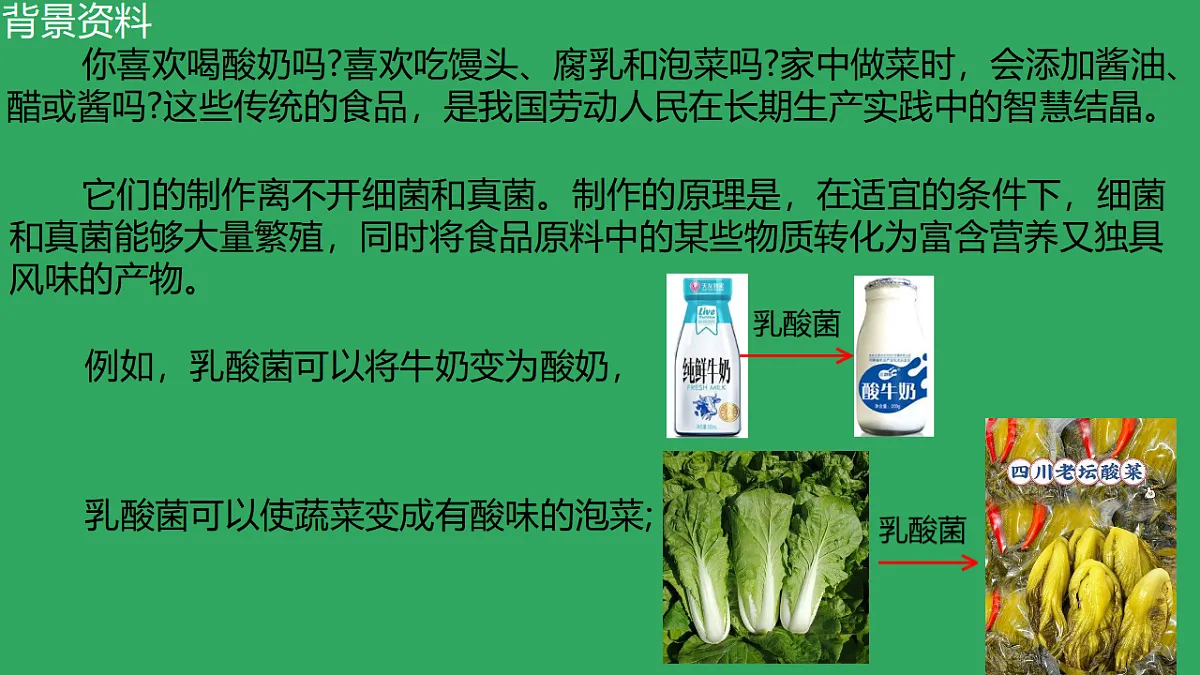 17839760第3页
