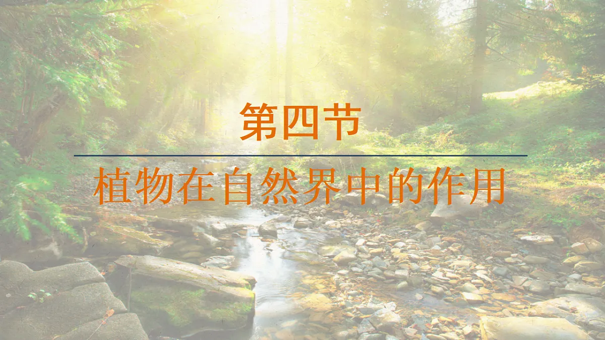 17839852第1页