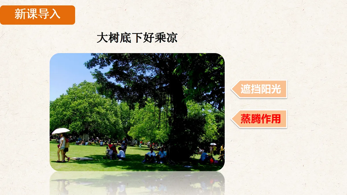17839852第4页