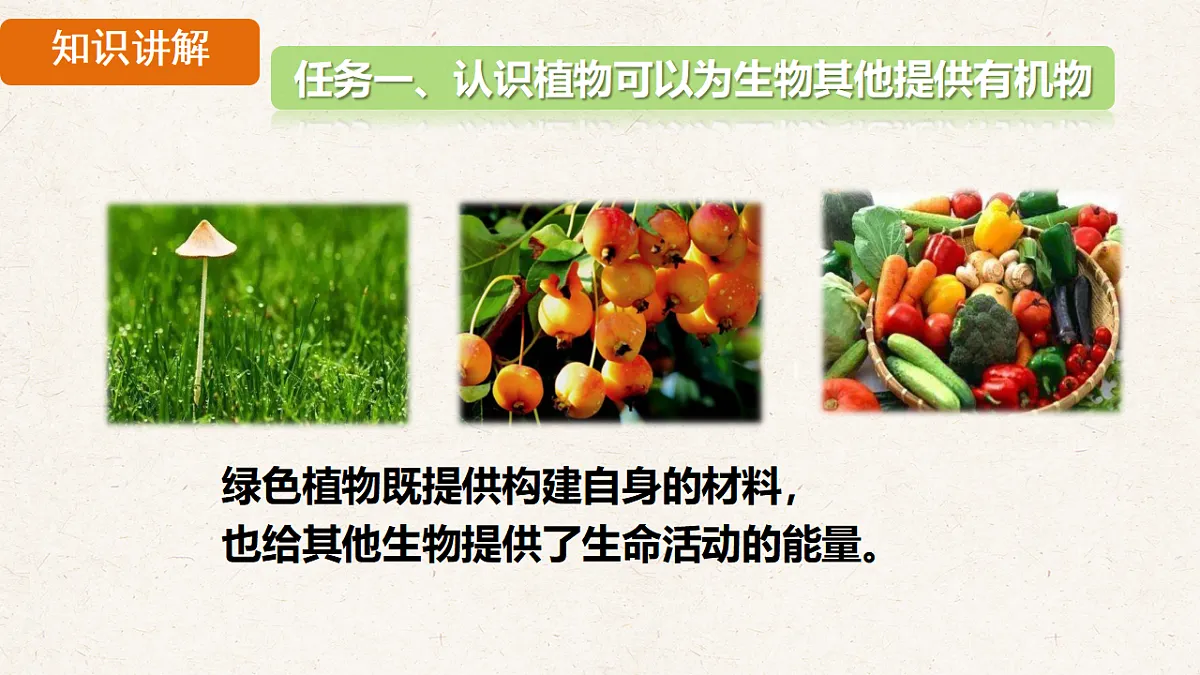 17839852第6页