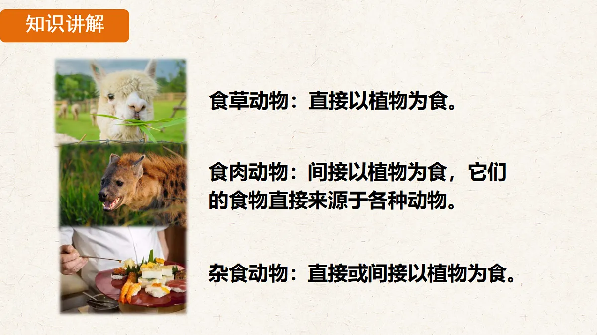 17839852第7页