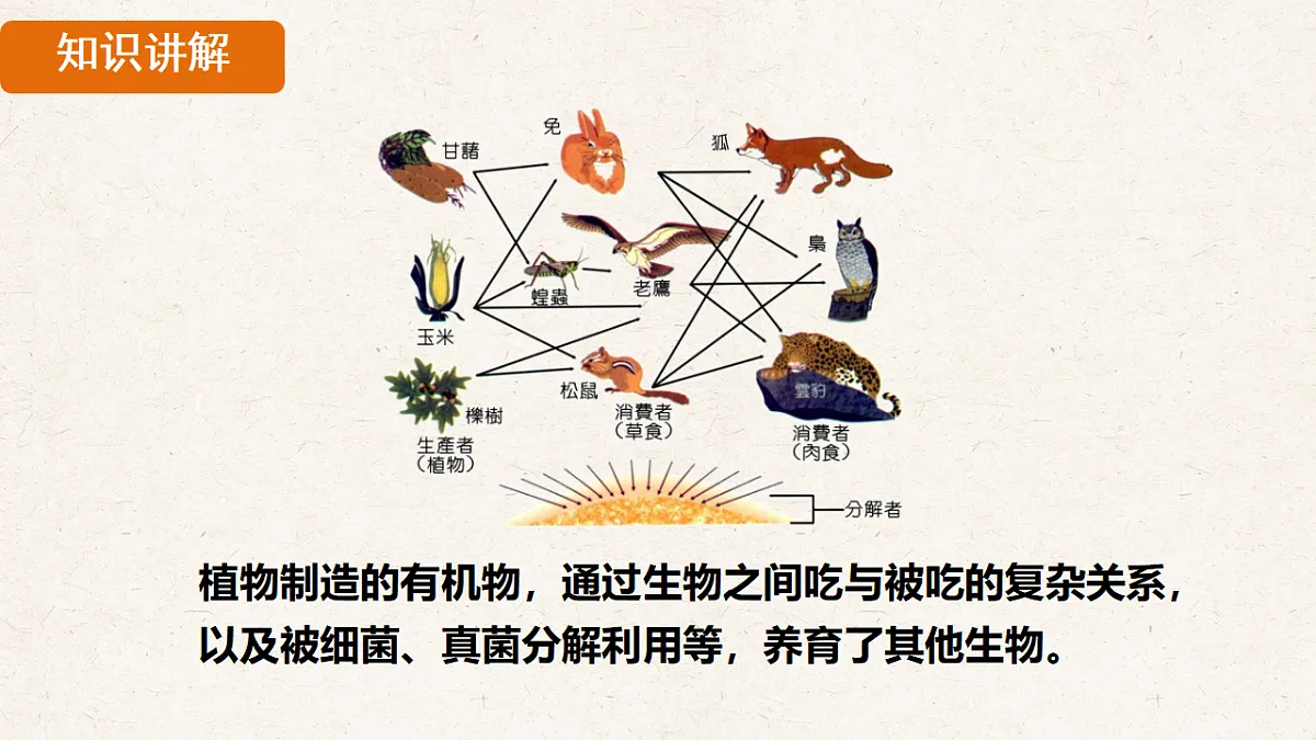 17839852第8页