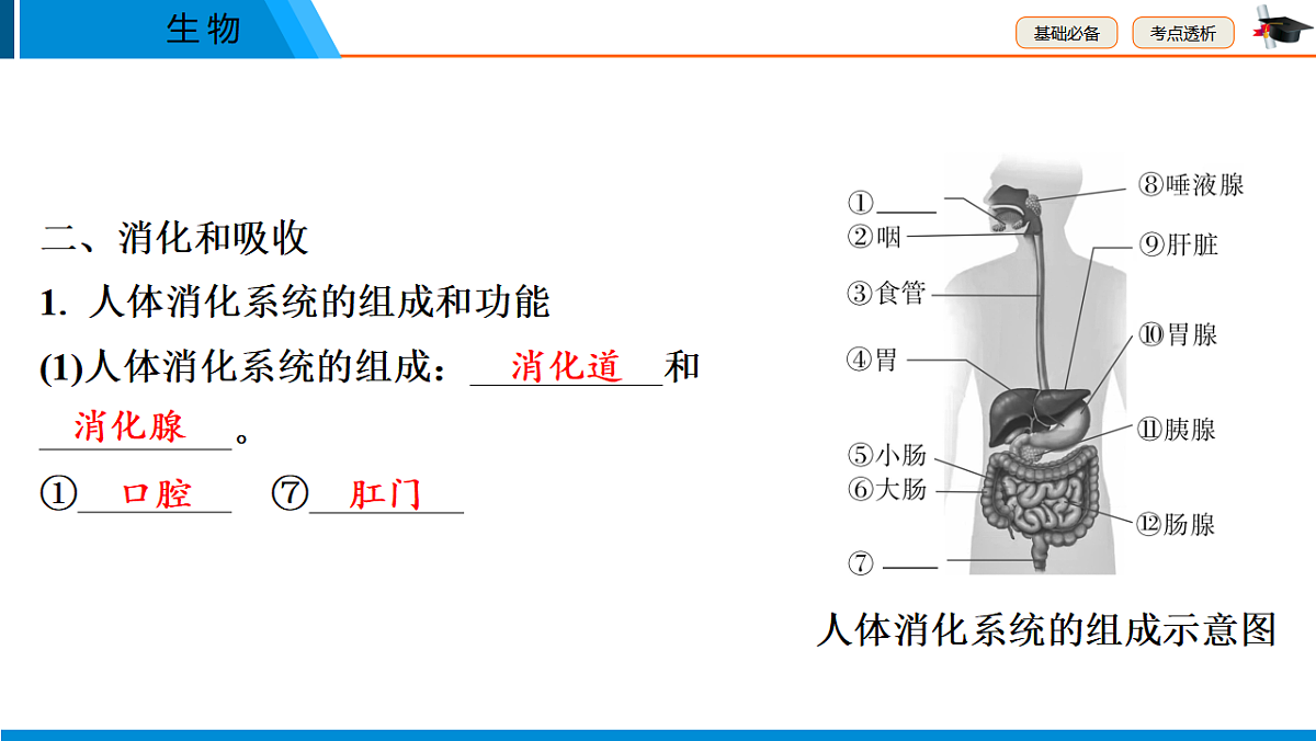 中考生物学一轮专题复习课件（人教版）5.1　人的食物来源于环境第7页