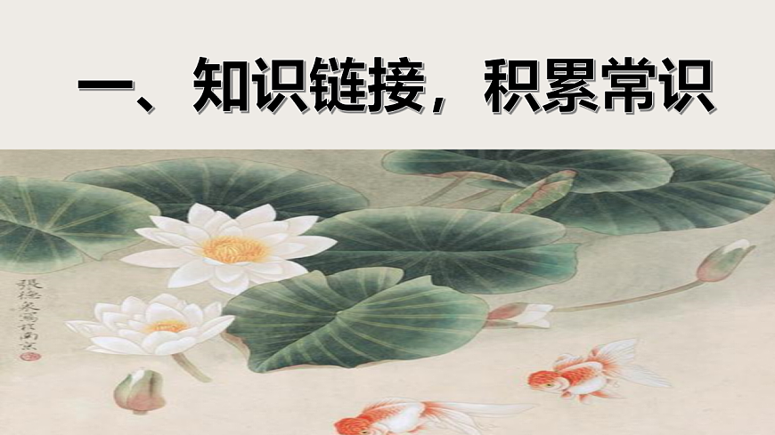 17842146第3页