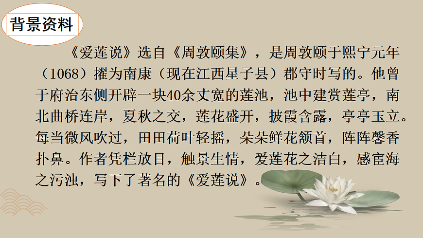 17842146第5页