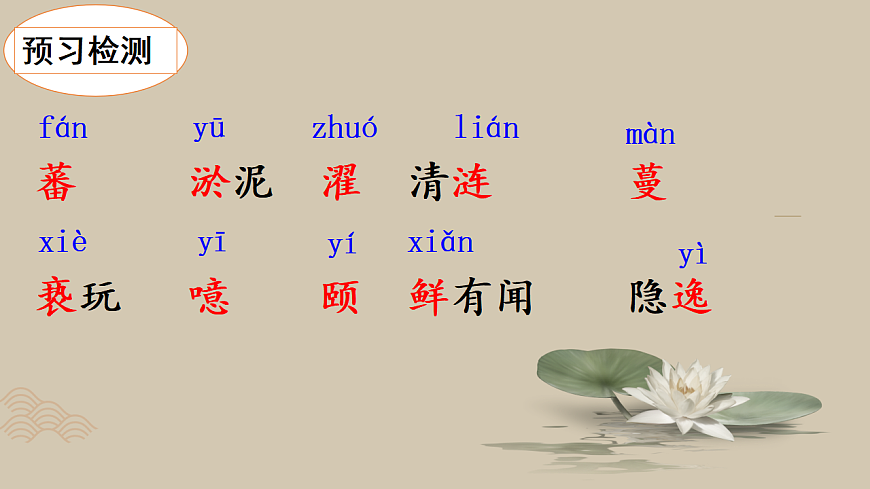 17842146第7页