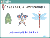 新人教版（2024）数学三年级下册 1.1 轴对称图形（课件）